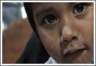 Gallery picture from the film Bilal