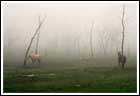 Gallery picture from the film